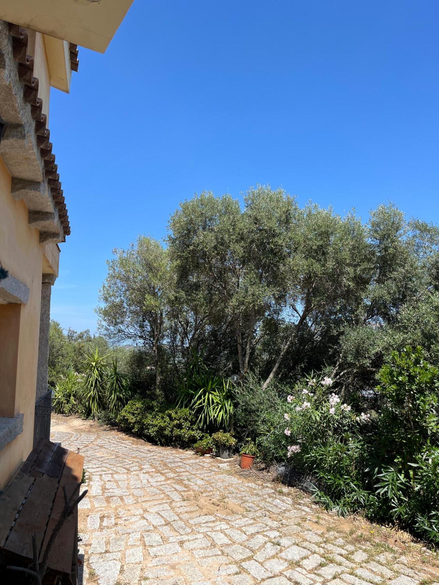 Venti Di Vacanza - Levante & Grecale Olbia Kültér fotó